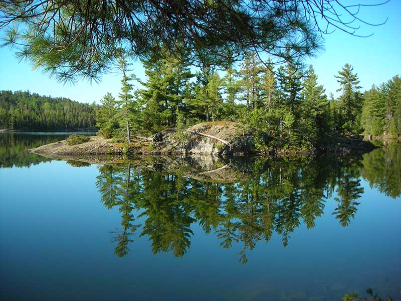 BWCA beauty