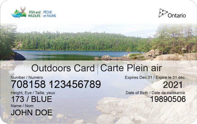 Ontario fishing license